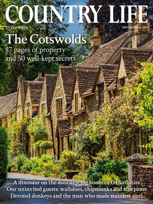 cover image of Country Life